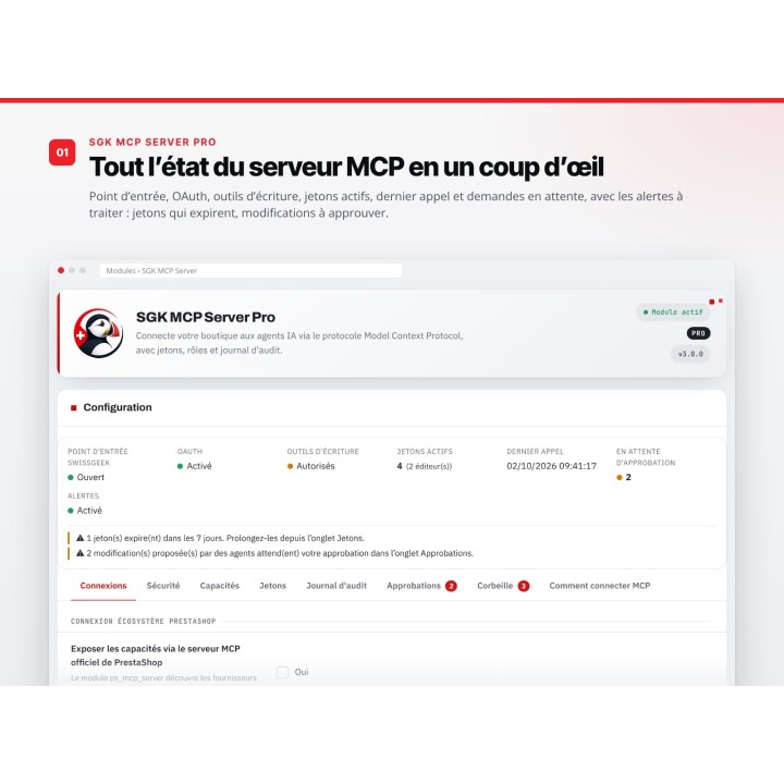 SGK MCP Server Pro para WordPress: su sitio conectado a Claude y ChatGPT — captura 2