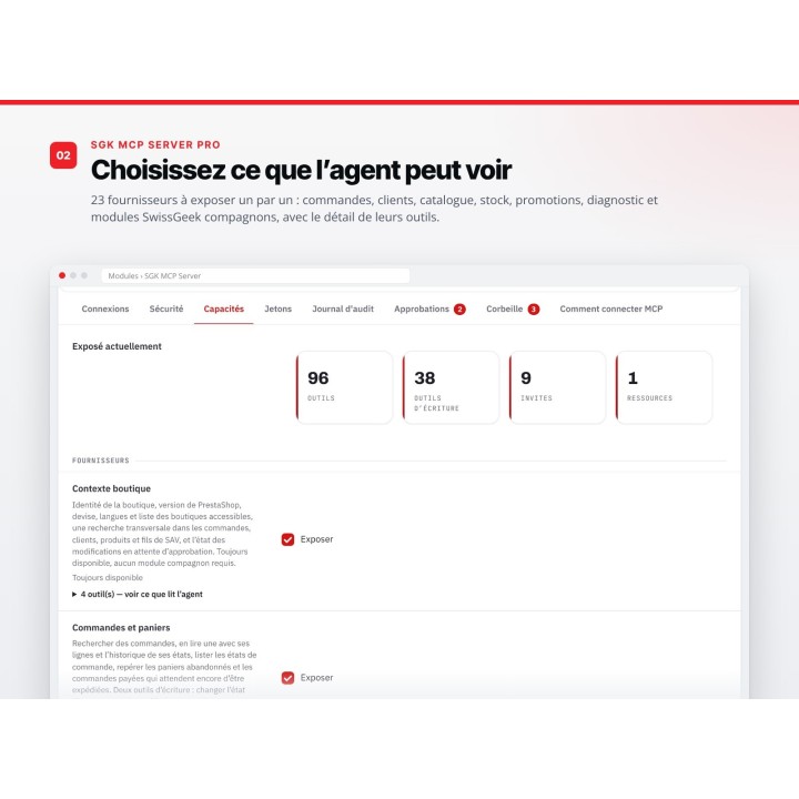 SGK MCP Server Pro para WordPress: su sitio conectado a Claude y ChatGPT — captura 3