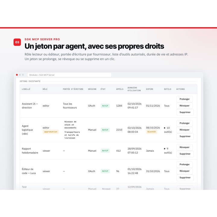 SGK MCP Server Pro para WordPress: su sitio conectado a Claude y ChatGPT — captura 4